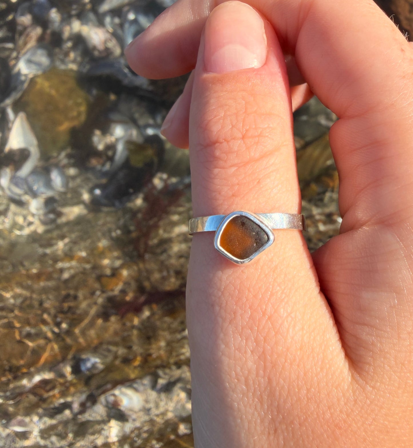 Silas Ring (N)